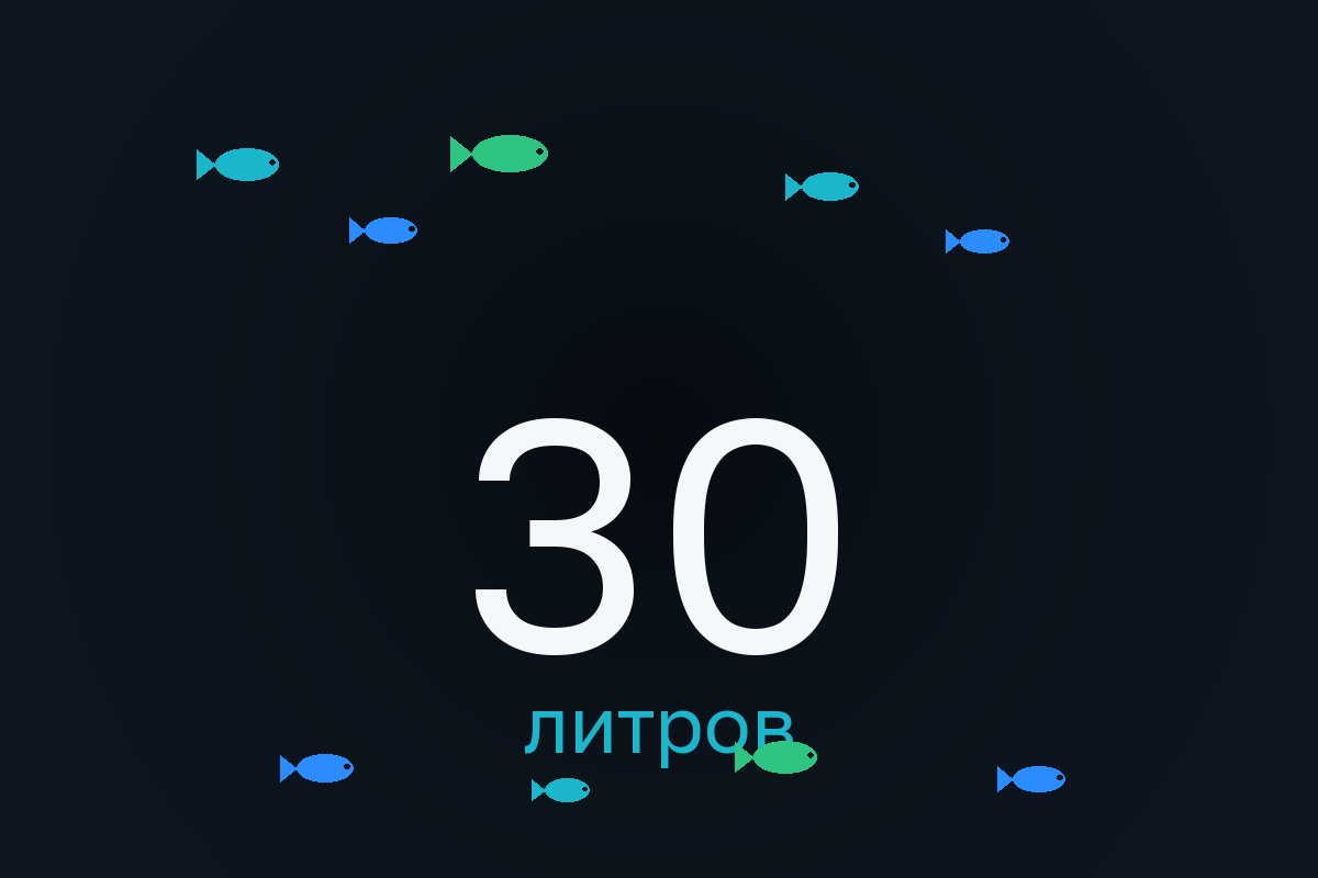 Аквариум на 30 литров: кого заселить