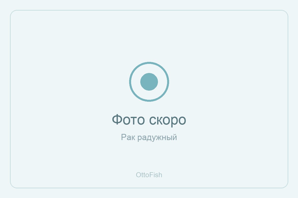 Рак радужный